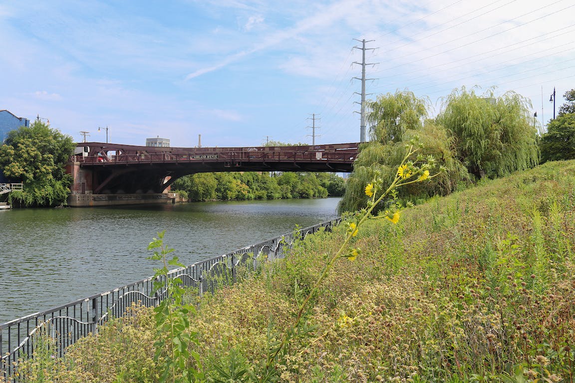A river is crossed by a large bridge.